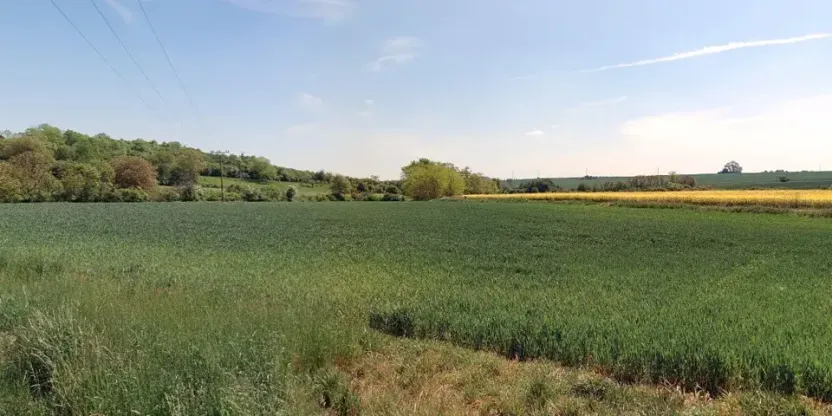 Prodej pole, Zdětín, 11949 m2