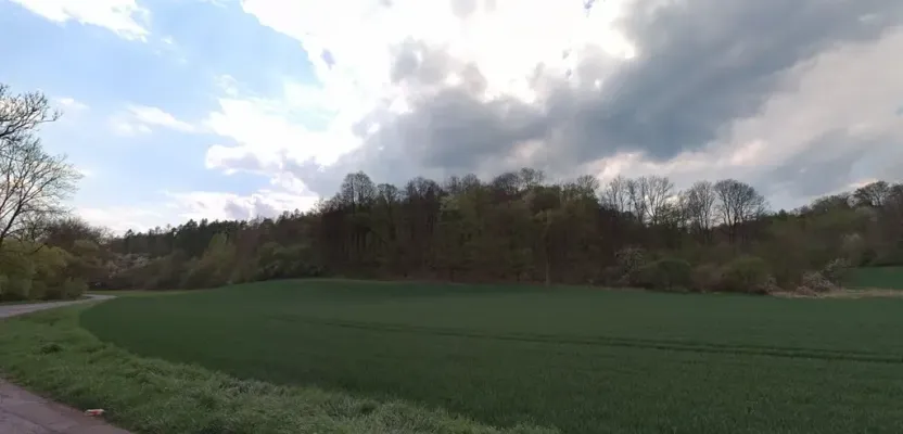 Prodej zahrady, Snědovice, 17989 m2