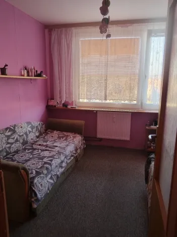 Prodej bytu 3+1, Mladá Boleslav - Mladá Boleslav II, Jana Palacha, 68 m2