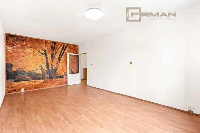 Prodej bytu 2+1, Karlovy Vary - Rybáře, Plešivecká, 61 m2