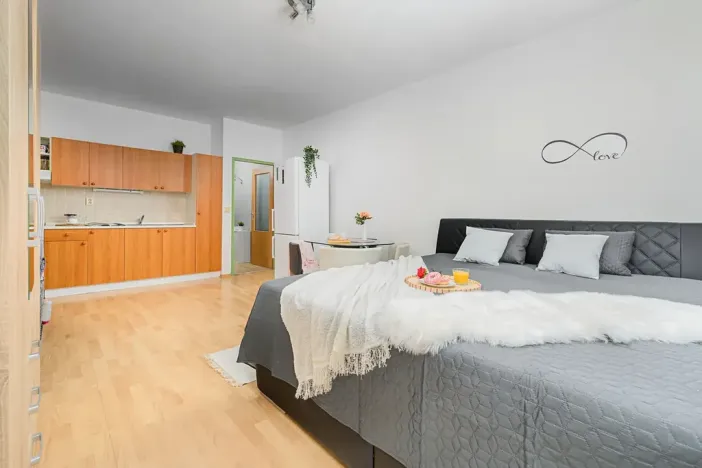 Pronájem bytu 1+kk, Liberec, Jeronýmova, 33 m2