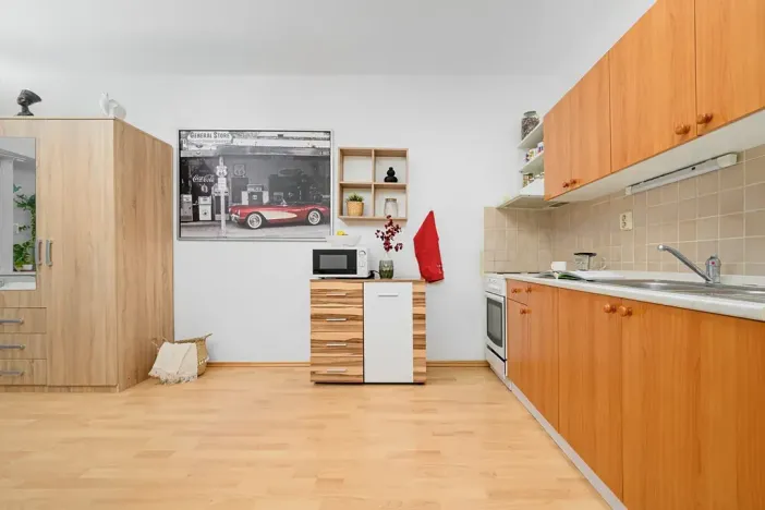 Pronájem bytu 1+kk, Liberec, Jeronýmova, 33 m2