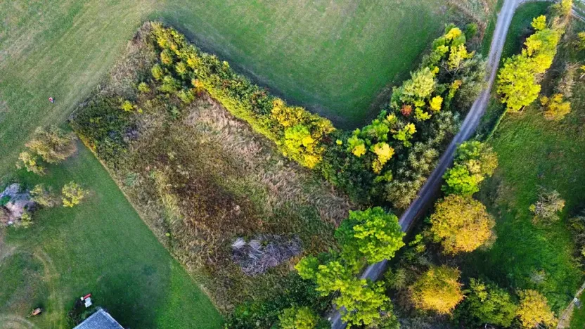 Prodej pozemku pro bydlení, Česká Skalice, 2713 m2