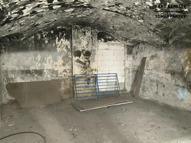 Prodej vícegeneračního domu, Děčín, Litoměřická, 250 m2