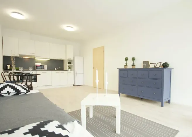 Pronájem bytu 2+kk, Brno, Košinova, 58 m2