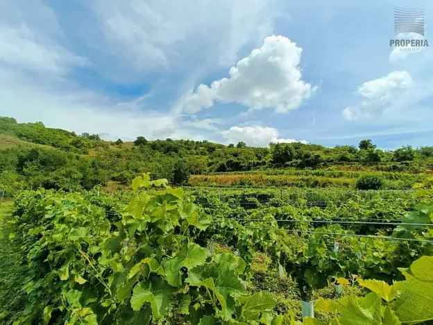 Prodej sadu/vinice, Pouzdřany, 1120 m2
