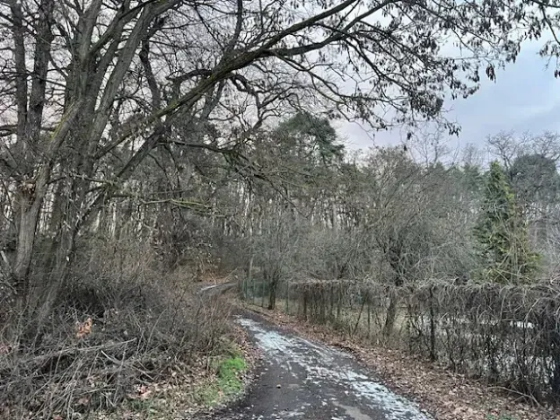 Pronájem bytu 2+1, Nový Vestec, Na Spořilově, 60 m2