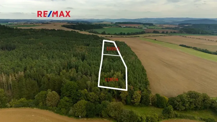 Prodej lesa, Všehrdy, 35057 m2