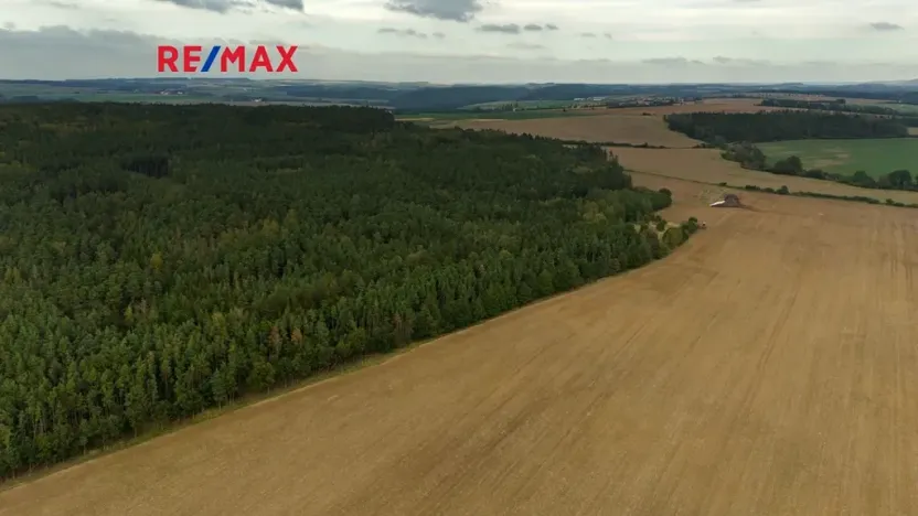 Prodej lesa, Všehrdy, 35057 m2