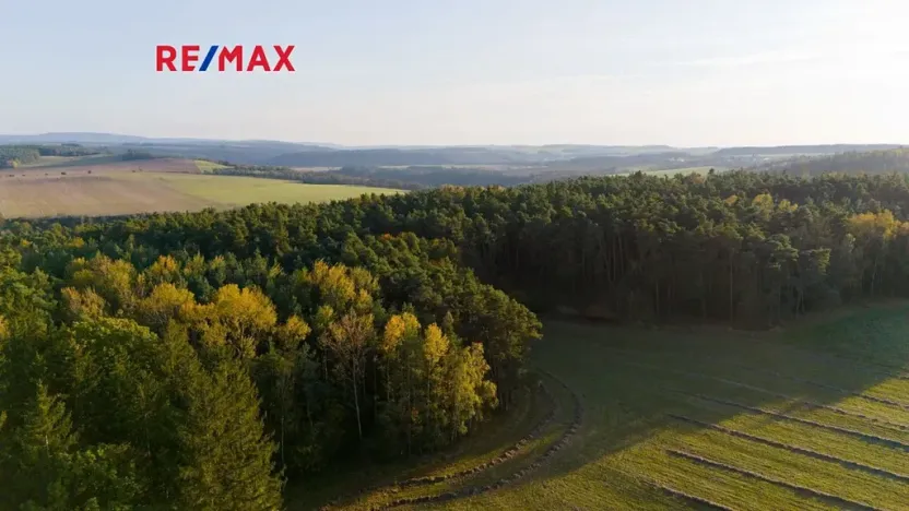 Prodej lesa, Všehrdy, 35057 m2