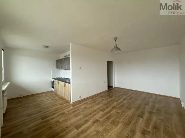 Pronájem bytu 2+1, Bílina - Pražské Předměstí, Bezejmenná, 48 m2