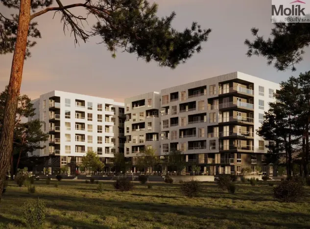 Prodej bytu 3+kk, Golem, 99 m2