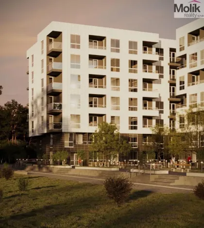 Prodej bytu 1+kk, Golem, 47 m2