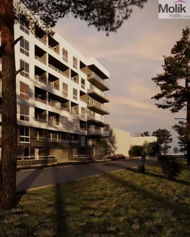 Prodej bytu 1+kk, Golem, 47 m2