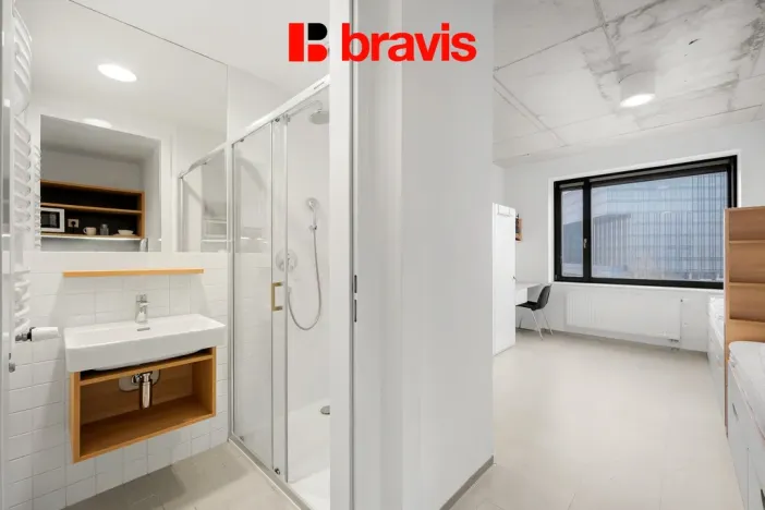 Pronájem bytu 1+kk, Brno - Trnitá, Dornych, 24 m2