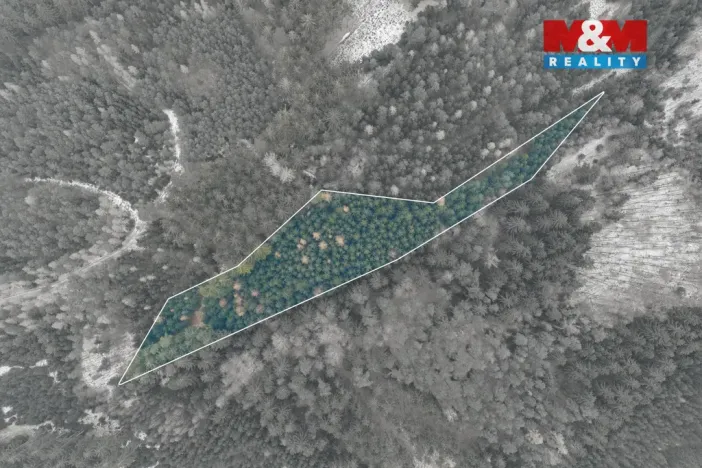 Prodej lesa, Hůrky, 6294 m2