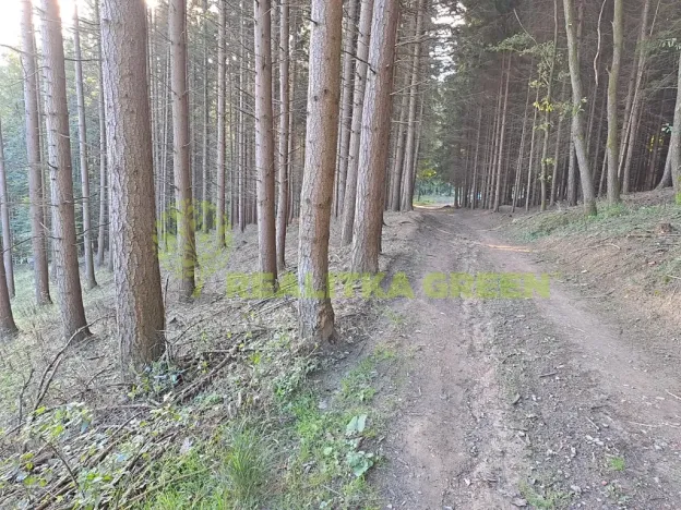 Prodej lesa, Zlín, 152613 m2