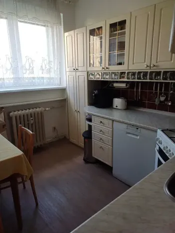 Pronájem bytu 3+1, Brno, Renneská třída, 72 m2