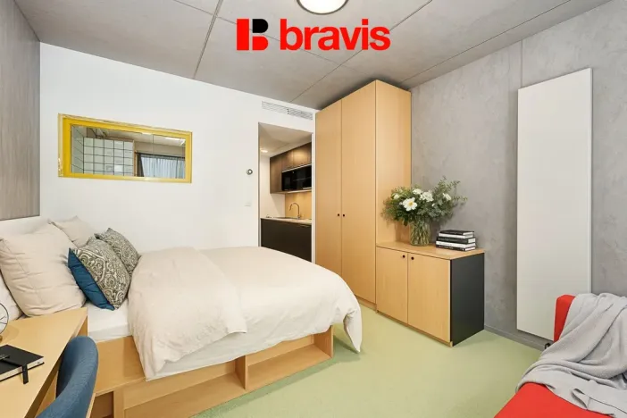 Pronájem bytu 1+kk, Brno - Trnitá, Dornych, 22 m2