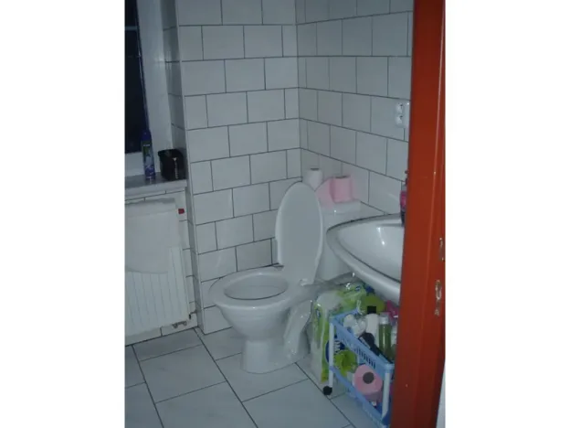 Pronájem bytu 2+1, České Budějovice - České Budějovice 3, Puklicova, 50 m2