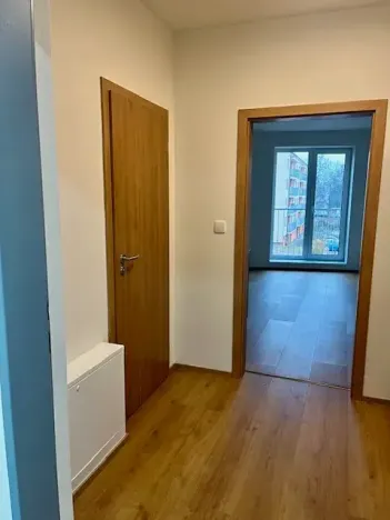 Pronájem bytu 1+kk, České Budějovice, Dobrovodská, 33 m2