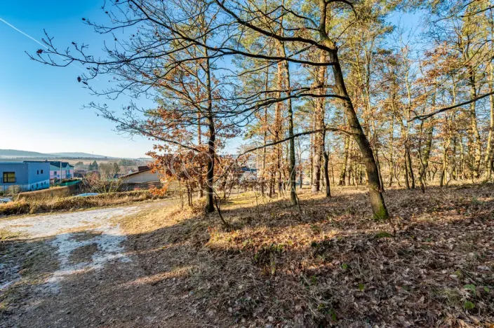 Prodej bytu 1+kk, Kařez, 45 m2