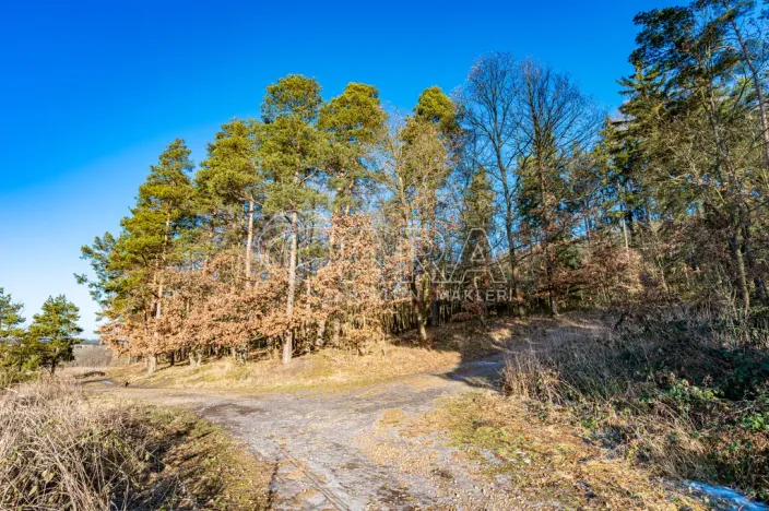 Prodej bytu 1+kk, Kařez, 45 m2