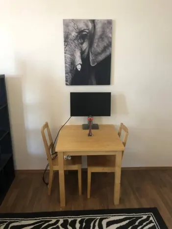 Pronájem bytu 1+kk, Praha - Žižkov, Hartigova, 22 m2