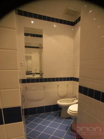 Pronájem bytu 2+1, Praha - Vinohrady, Anny Letenské, 54 m2