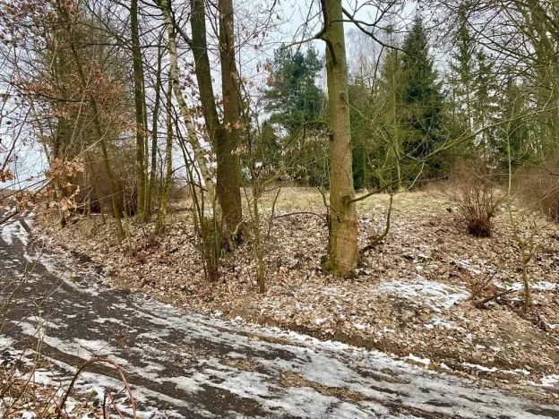 Prodej pozemku pro bydlení, Pertoltice pod Ralskem, 1796 m2