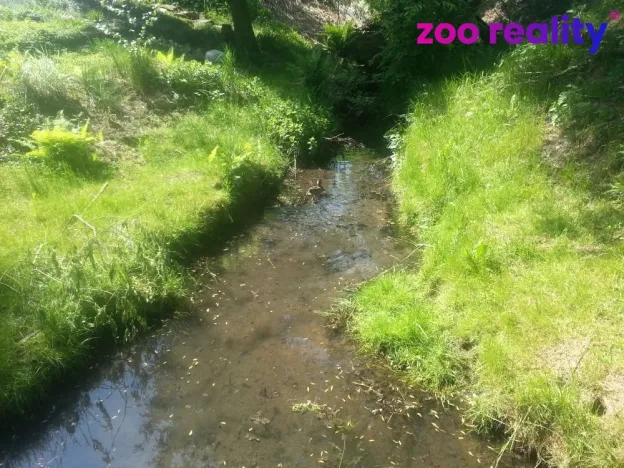 Prodej pozemku pro bydlení, Písek, 2647 m2