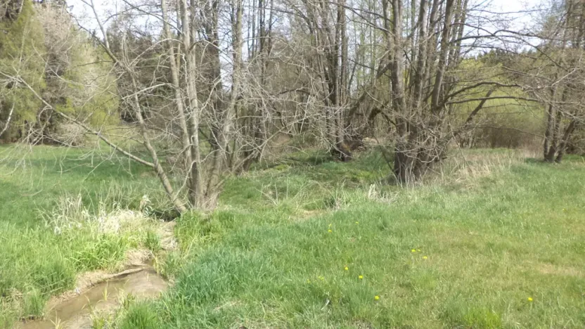 Prodej pole, Mezno - Stupčice, 8388 m2