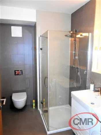 Pronájem bytu 1+kk, Praha, Čumpelíkova, 37 m2