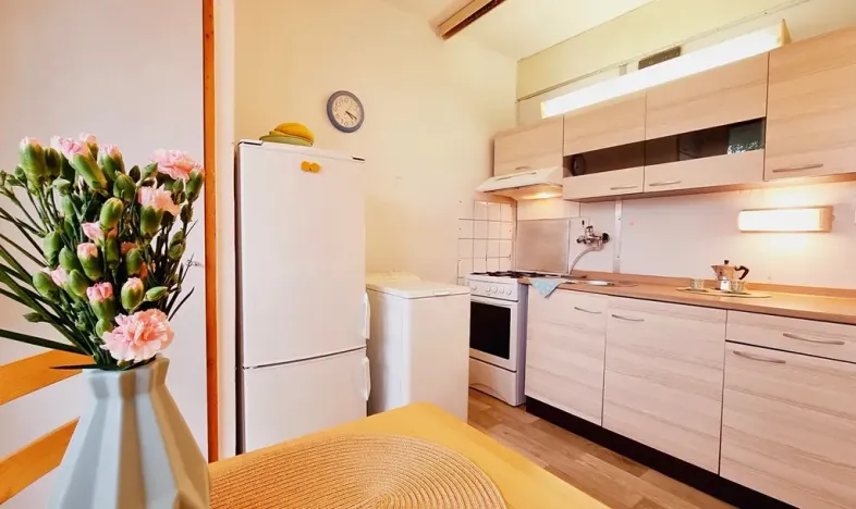 Pronájem bytu 1+1, Brno, Urbánkova, 34 m2