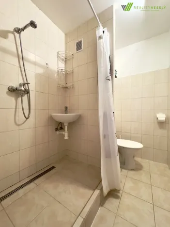 Prodej bytu 1+1, Hodonín, Brandlova, 32 m2