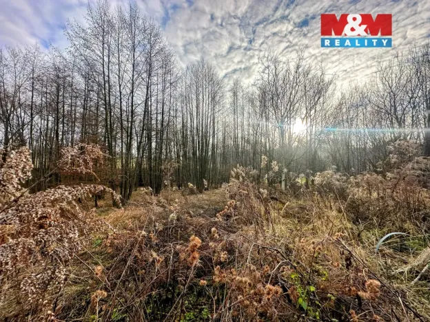 Prodej pozemku pro bydlení, Petřvald, Ostravská, 4322 m2