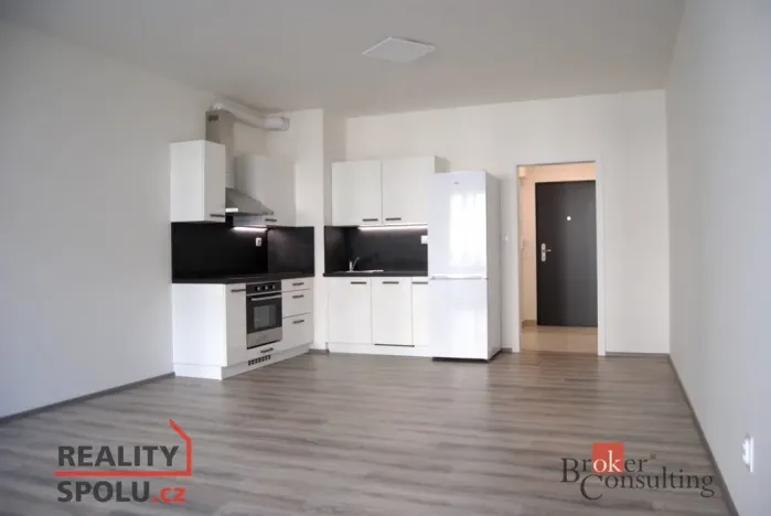 Prodej bytu 1+kk, Plzeň - Jižní Předměstí, Goldscheiderova, 39 m2