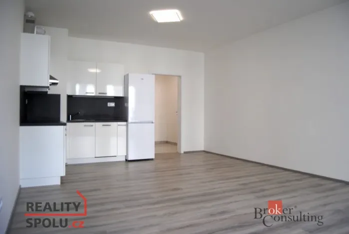 Prodej bytu 1+kk, Plzeň - Jižní Předměstí, Goldscheiderova, 39 m2