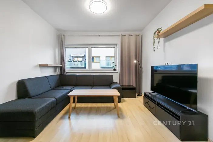 Pronájem bytu 2+kk, Plzeň, U Velkého rybníka, 60 m2