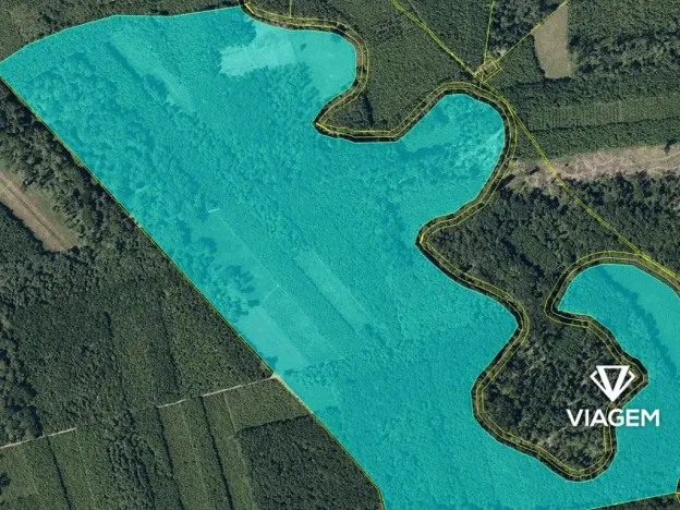 Prodej podílu lesa, Uhřičice, 2304 m2