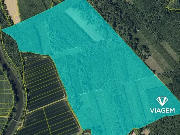 Prodej podílu lesa, Uhřičice, 2517 m2