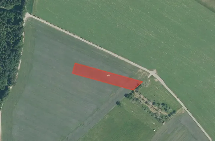 Prodej pole, Rudka, 3557 m2