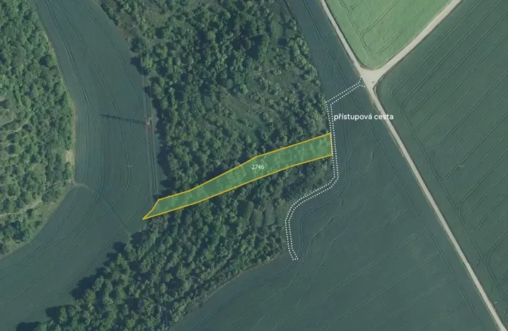 Prodej sadu/vinice, Uherčice, 2564 m2