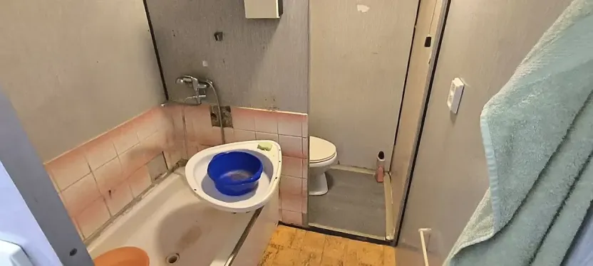 Prodej bytu 1+1, Cheb, Lesní, 36 m2