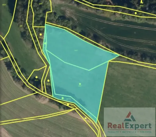 Prodej pole, Nový Rychnov, 73681 m2