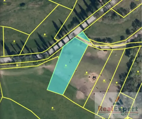 Prodej pole, Nový Rychnov, 73681 m2