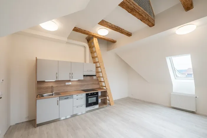 Pronájem bytu 1+kk, Liberec - Liberec III-Jeřáb, Americká, 53 m2