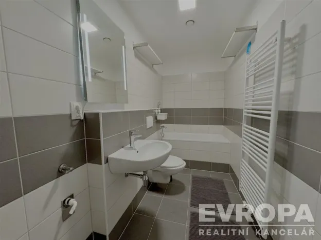 Pronájem bytu 2+kk, Plzeň - Bolevec, U Velkého rybníka, 44 m2