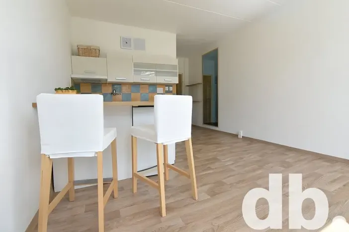 Pronájem bytu 1+kk, Chodov, Čapkova, 26 m2