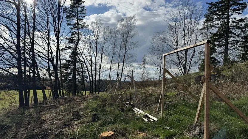 Prodej lesa, Pecka, 35108 m2